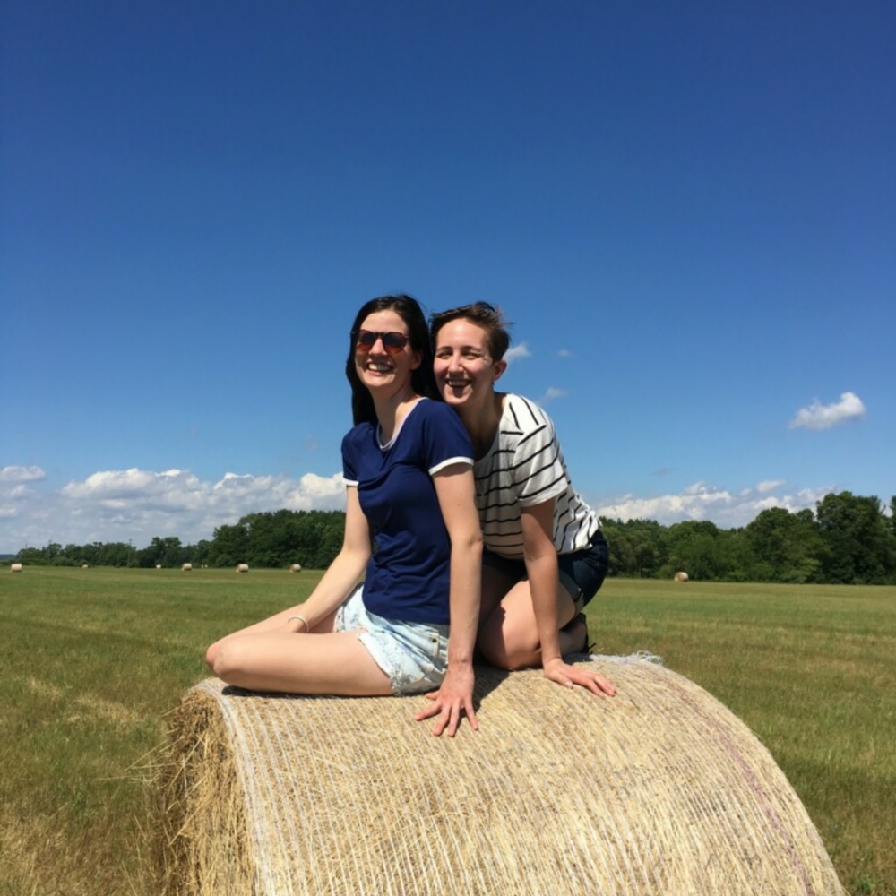 Gently used or new clothing